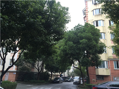姑蘇區(qū) 桐涇南路 新滄花園